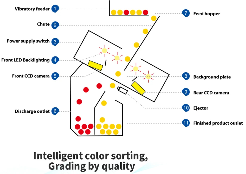 rice colour sorter