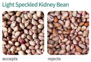 kidney bean color sorter