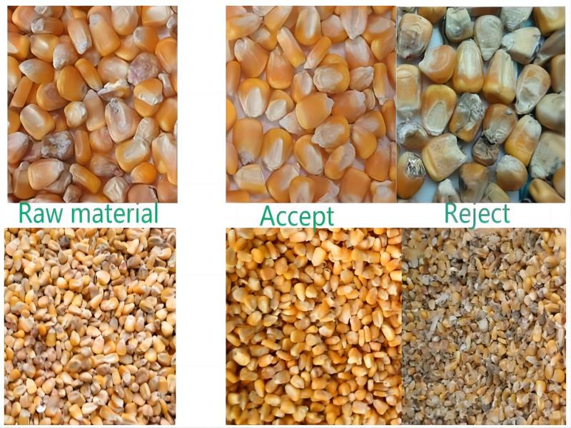 Mısır için çok fonksiyonlu tahıl rengi ayırıcı