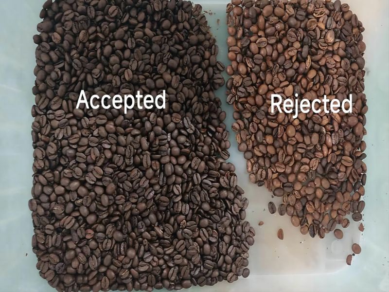 Brezilya'da kahve çekirdeği ayıklamaya ilişkin müşteri örneği