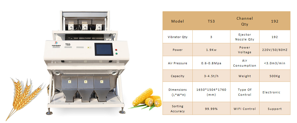 Grain color sorter