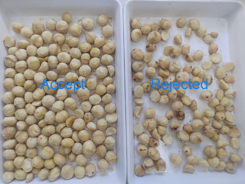 TOPSORT MINI macadamia nut good and bad ones color sorter