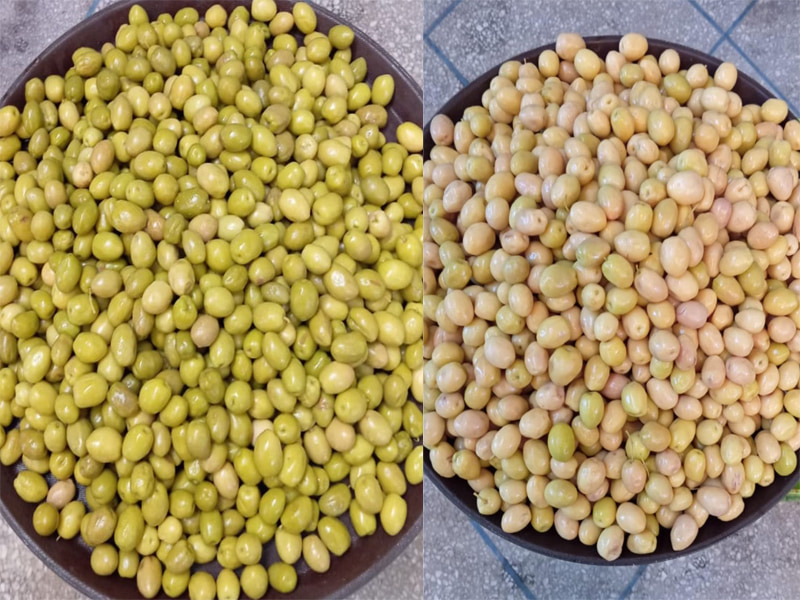 Müşteri sitesinden TOPSORT su geçirmez zeytin rengi ayırıcı