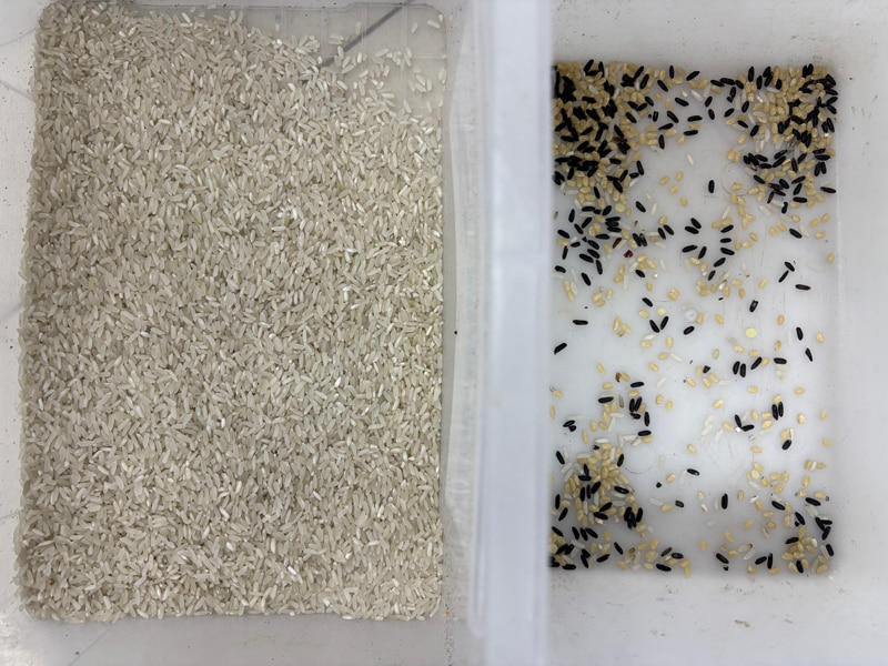 TOPSORT Yüksek sıralama doğruluğuna sahip mini pirinç renk ayırıcı