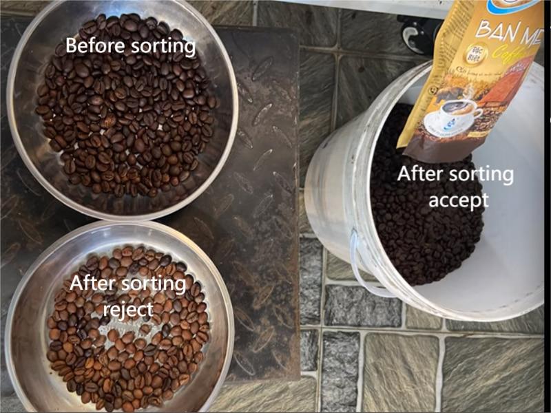 coffee bean color sorter