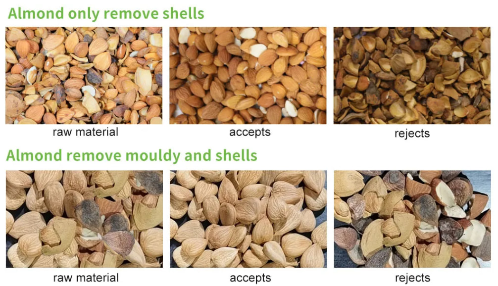 almond sorter