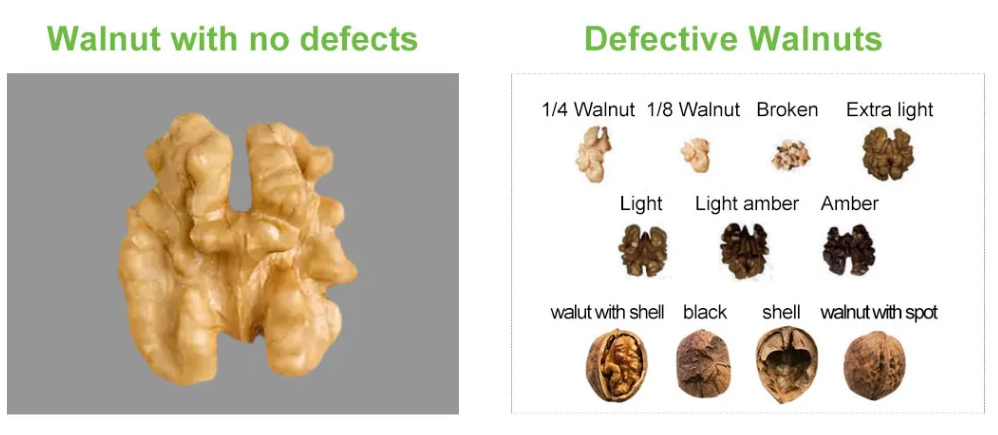 walnut color sorter with AI