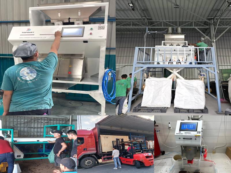 color sorter fast supplier